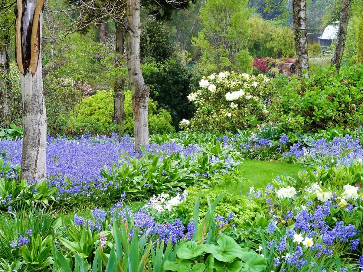 17 Best Flower Fields and Expert Travel Tips for Europe (2026)