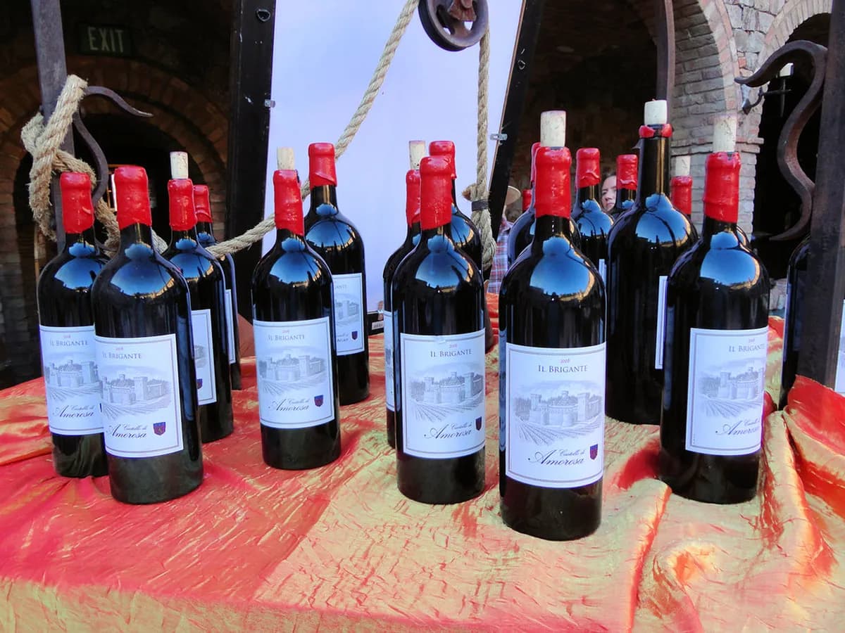 10 Best Wine Festivals in Europe (2026) Travel Guide
