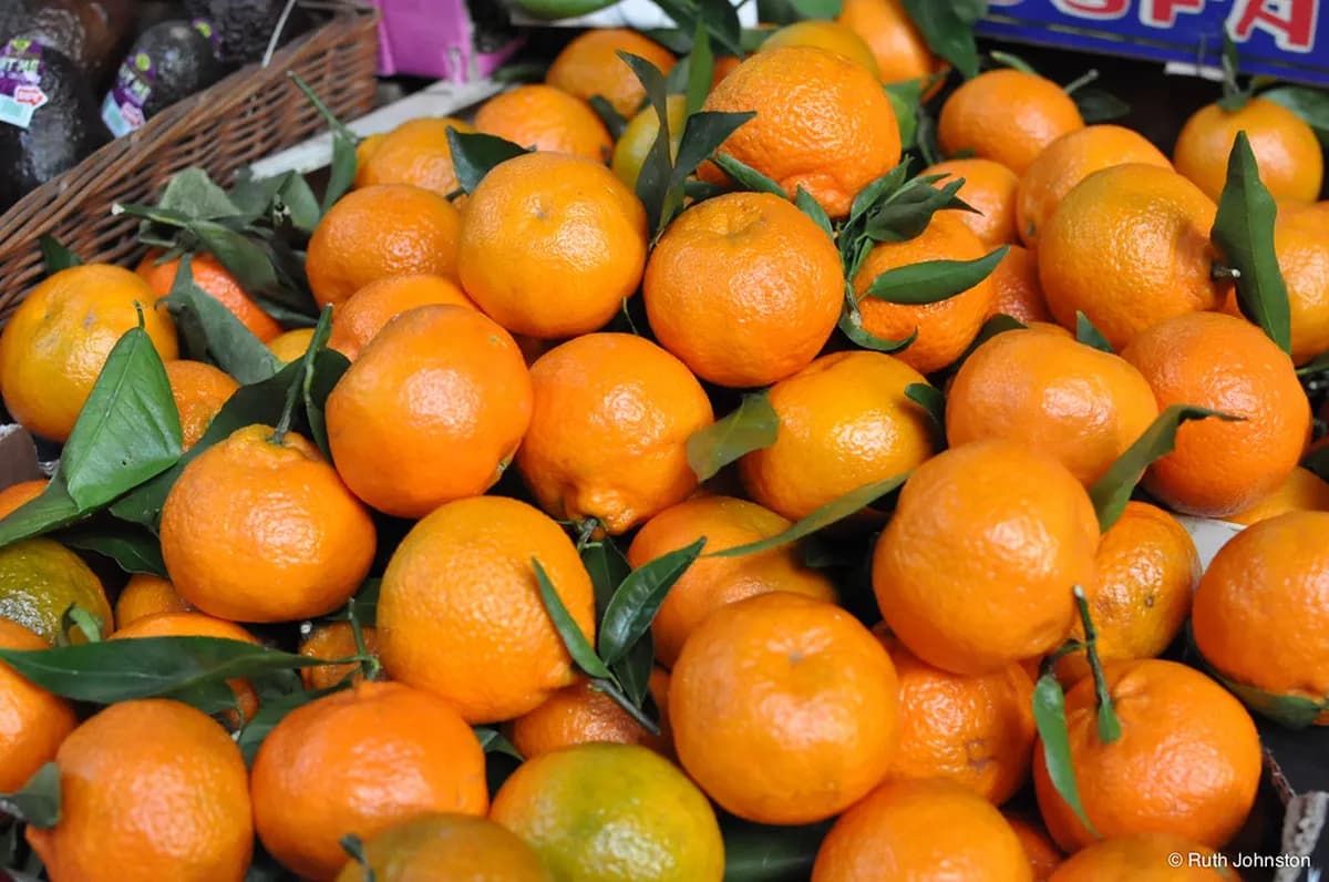 Christmas Market Day Trip From London By Eurostar