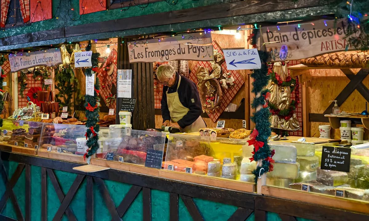 9 Essential Tips for the Colmar Christmas Market (2026)