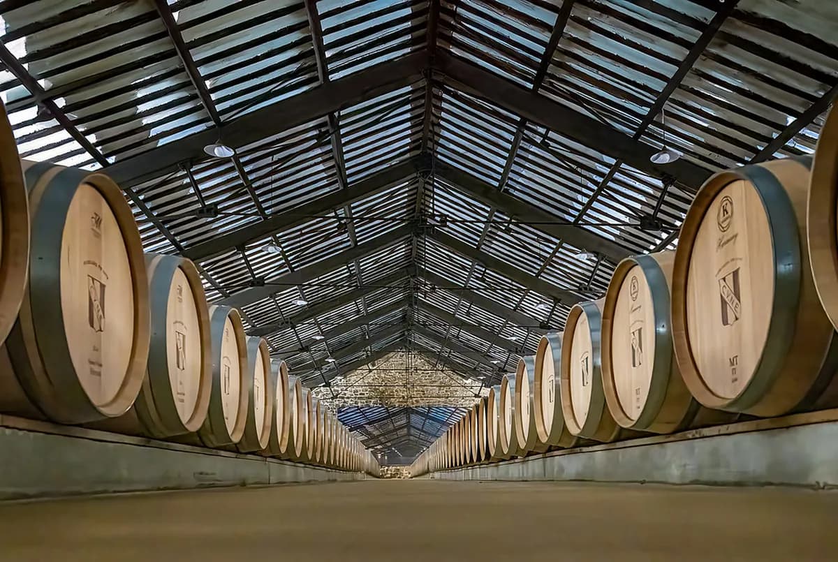 9 Essential Facts About Haro Wine Festival Dates and Logistics
