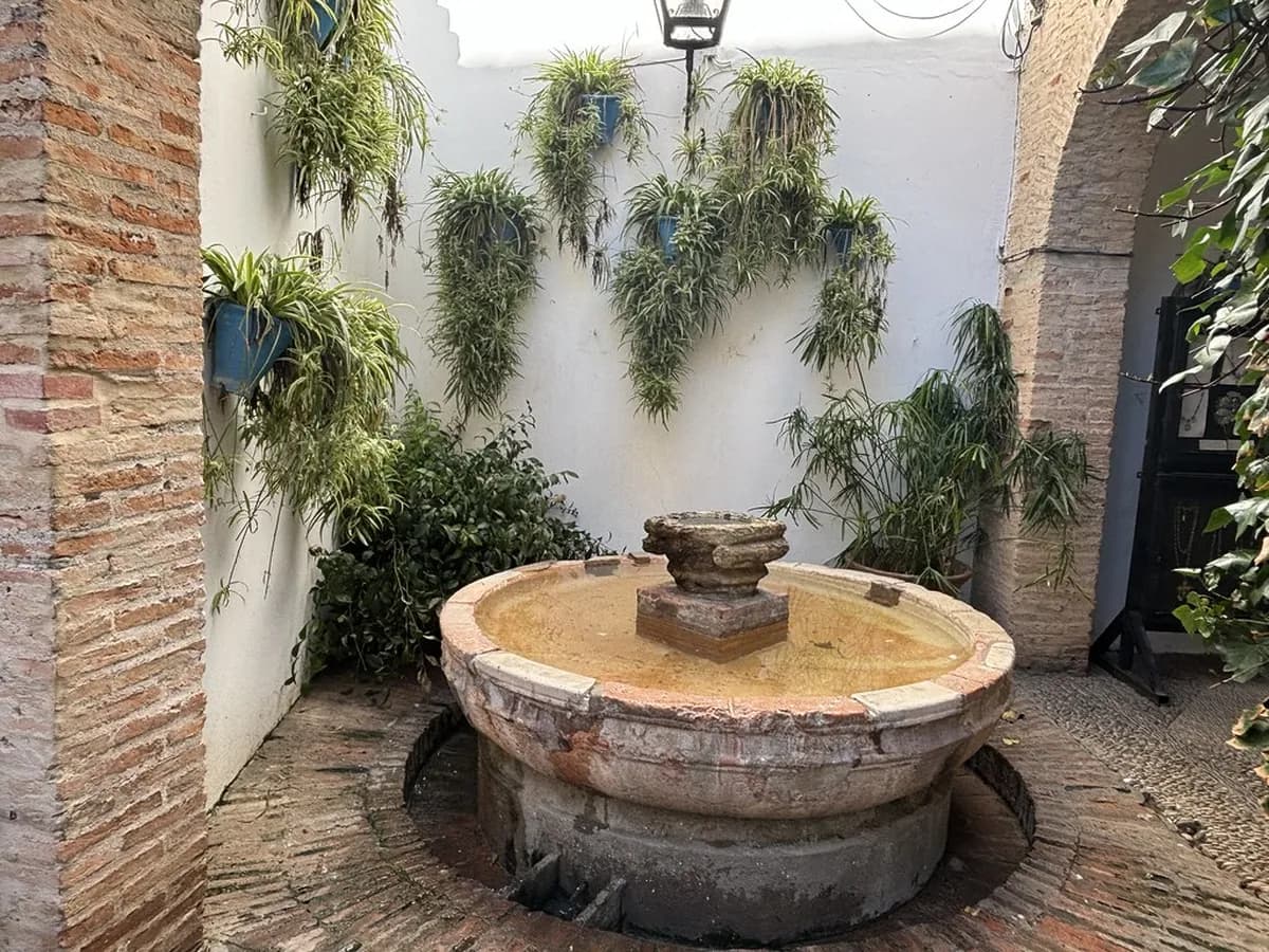 How To Get To Patios De Cordoba: 10 Essential Visiting Tips