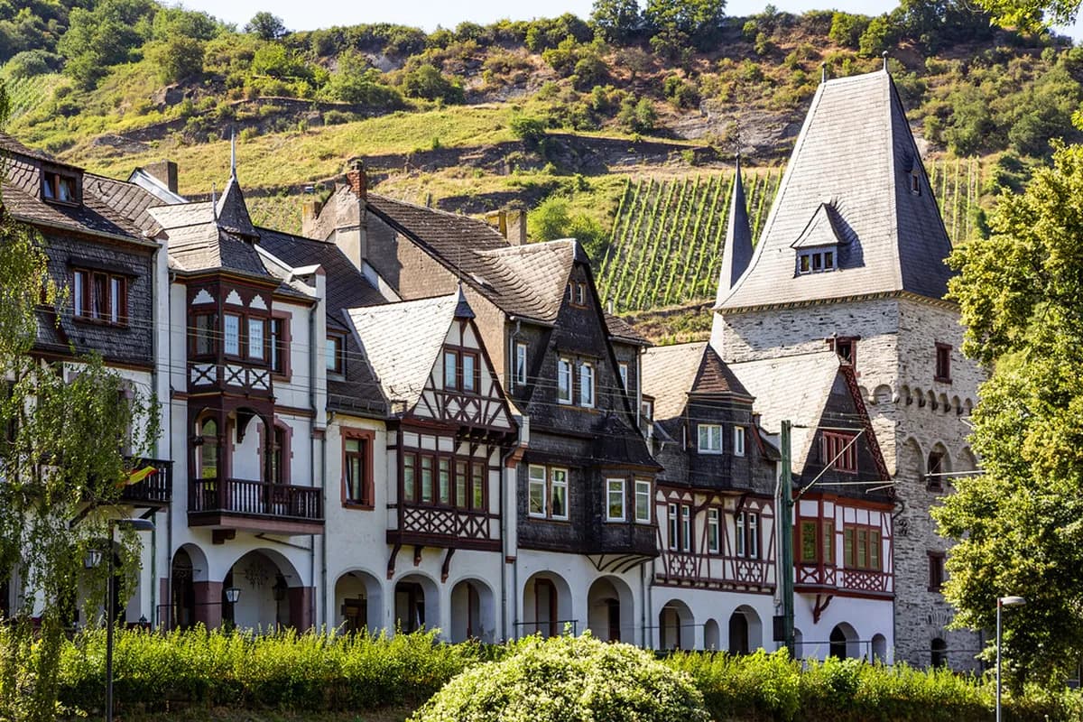 How to Get to Rheingau Wine Festival: Transport Guide
