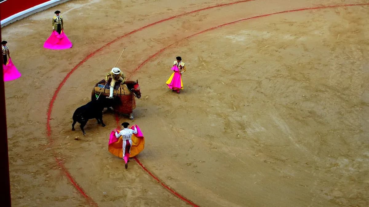 5 Best Ways to Watch the San Fermin Running of the Bulls