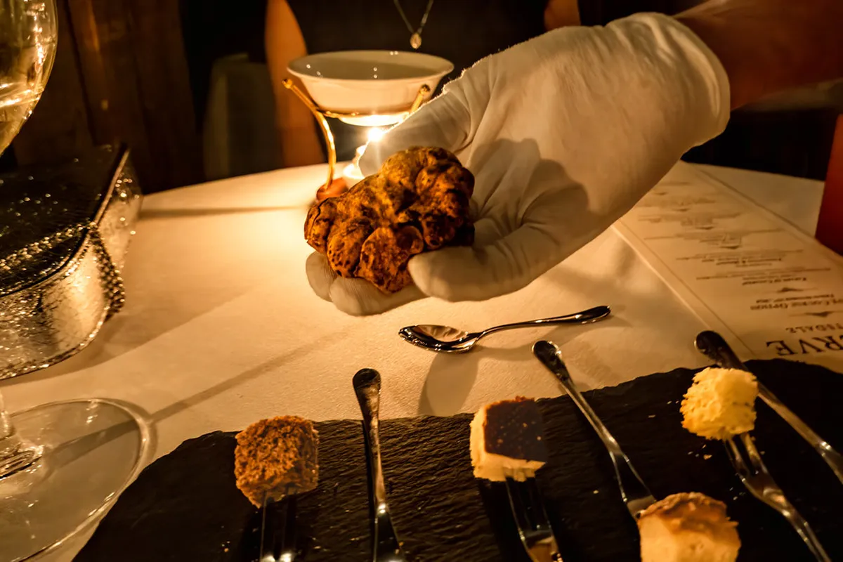Is Alba White Truffle Festival Worth It? (Honest Review)
