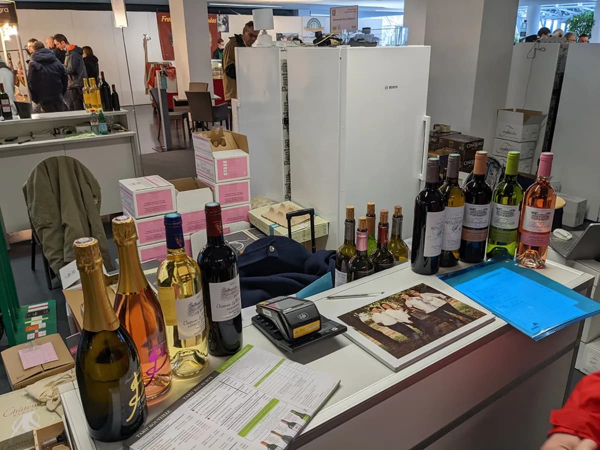 Is Bordeaux Wine Festival Worth It? Travel Guide & Review