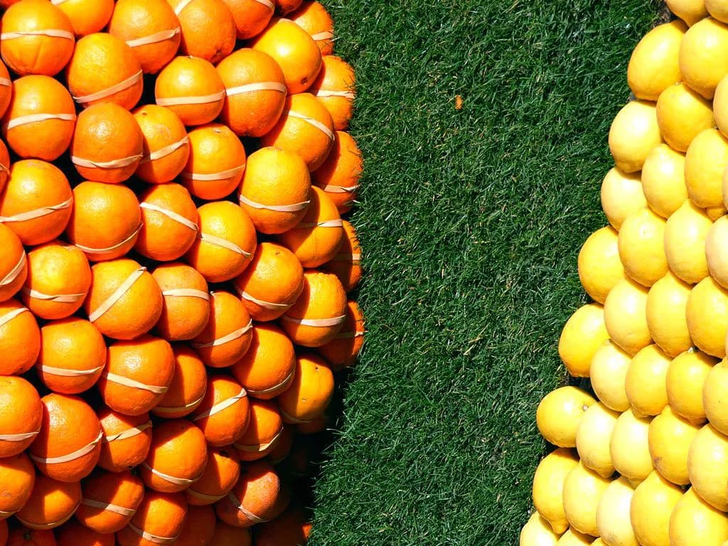 Menton Lemon Festival Dates: 9 Essential Tips for 2026 & 2027