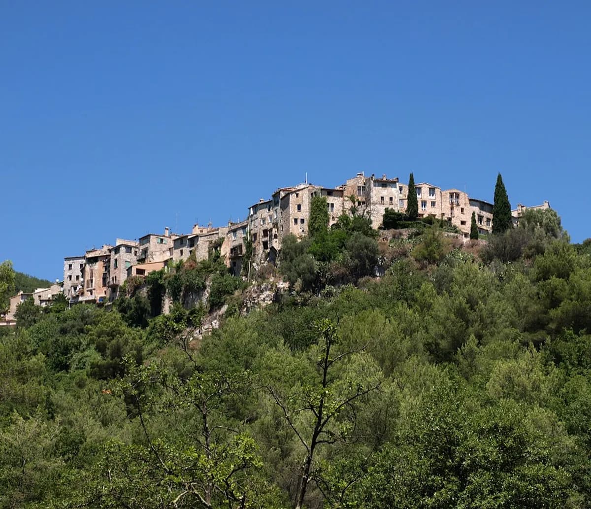 Where To Stay For Menton Lemon Festival: 6 Best Areas & Tips