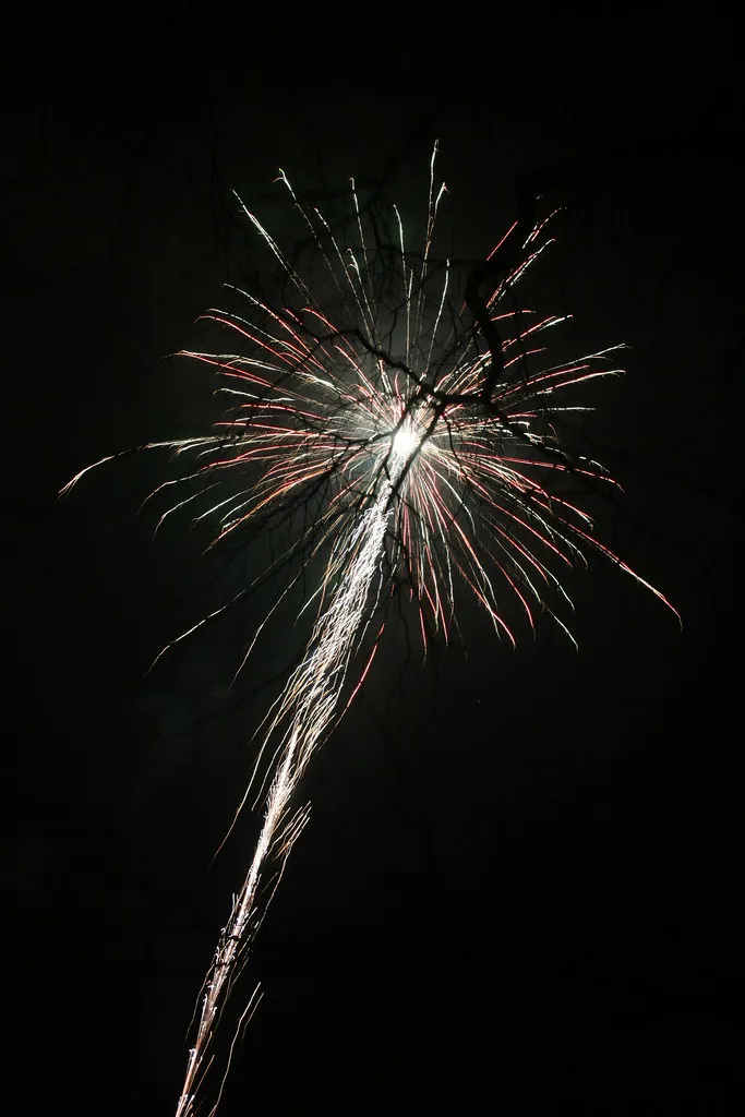 Berlin new year fireworks