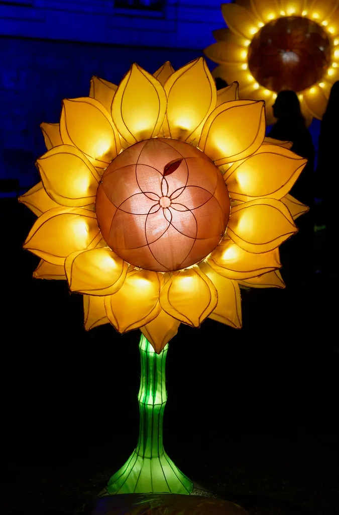 Festivals And Events In Amsterdam