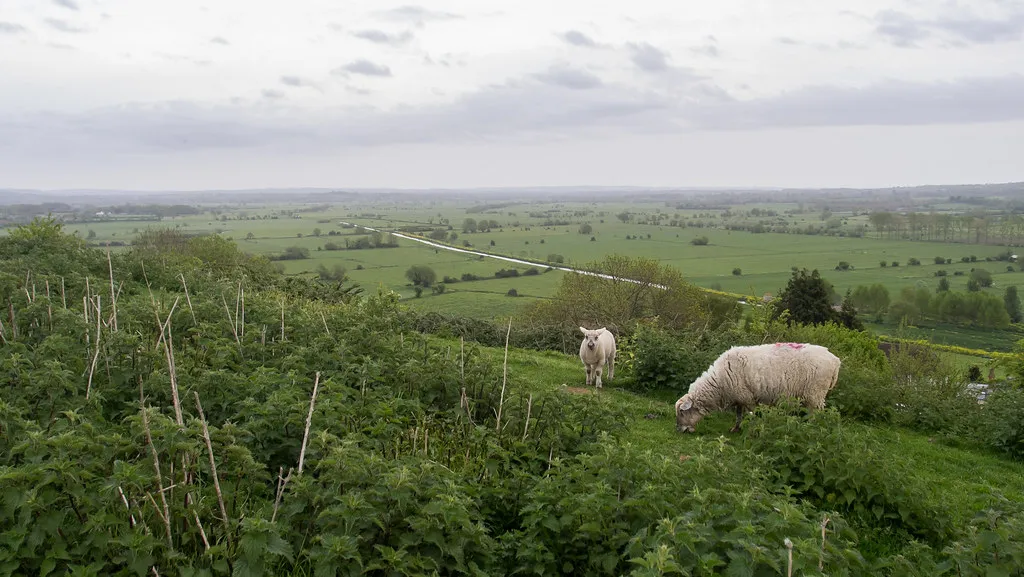 Glastonbury