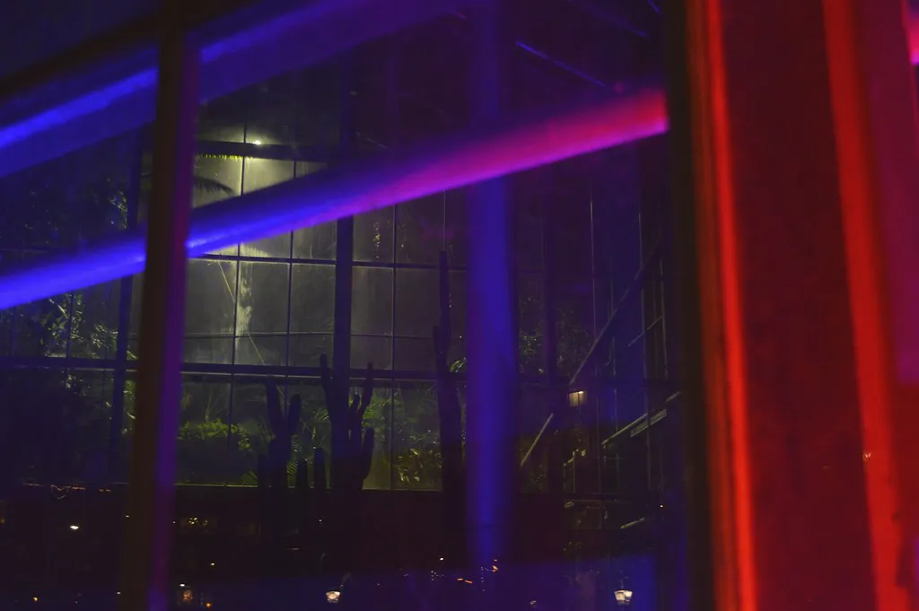 Amsterdam Light Festival Worth It? 2026 Review