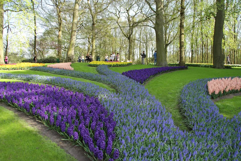 Keukenhof Tickets and How to Visit