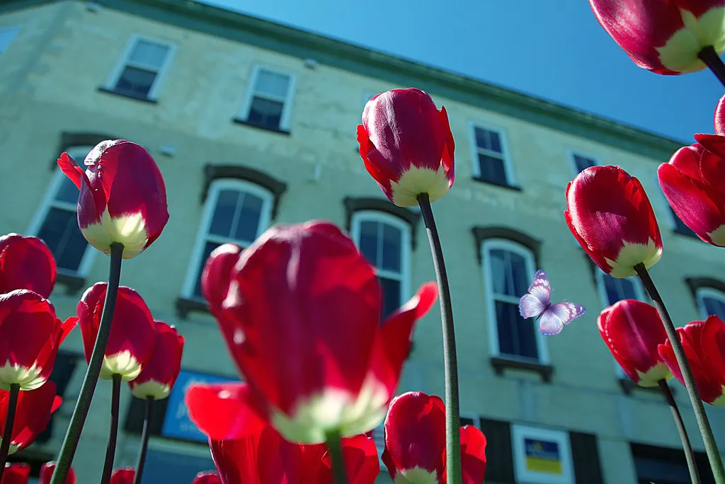 Areas and Tips for the Bordeaux Wine Festival